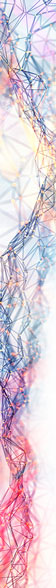 next-decade-banner-56x588px