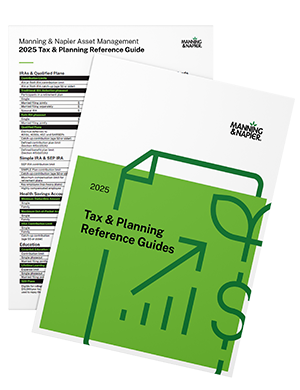 2025-idg-tax-guides-transparent
